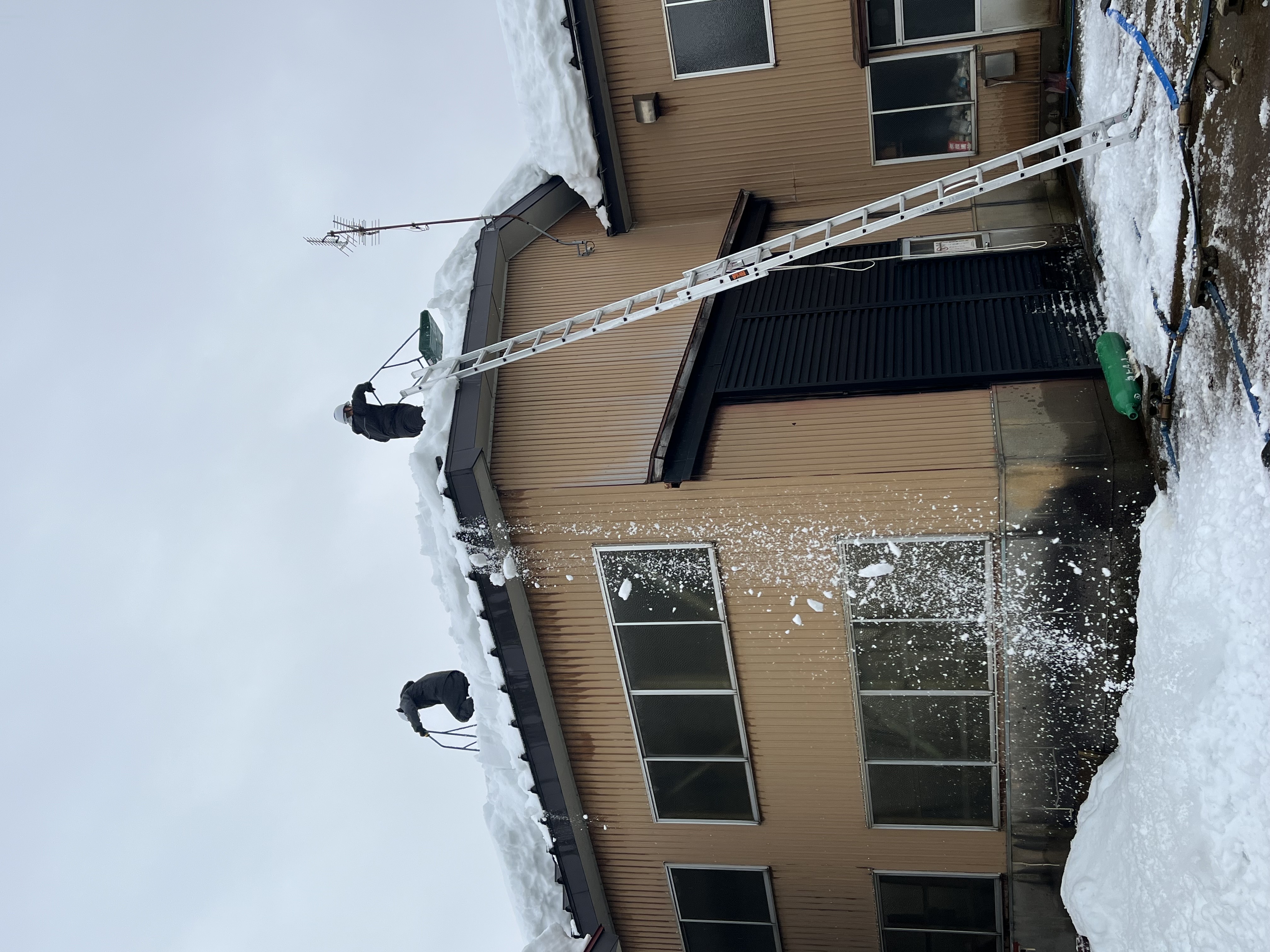 雪かき・雪おろし代行サービス 作業写真（玄関や庭の除雪作業の様子）